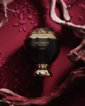 06-SouvenirDesert
